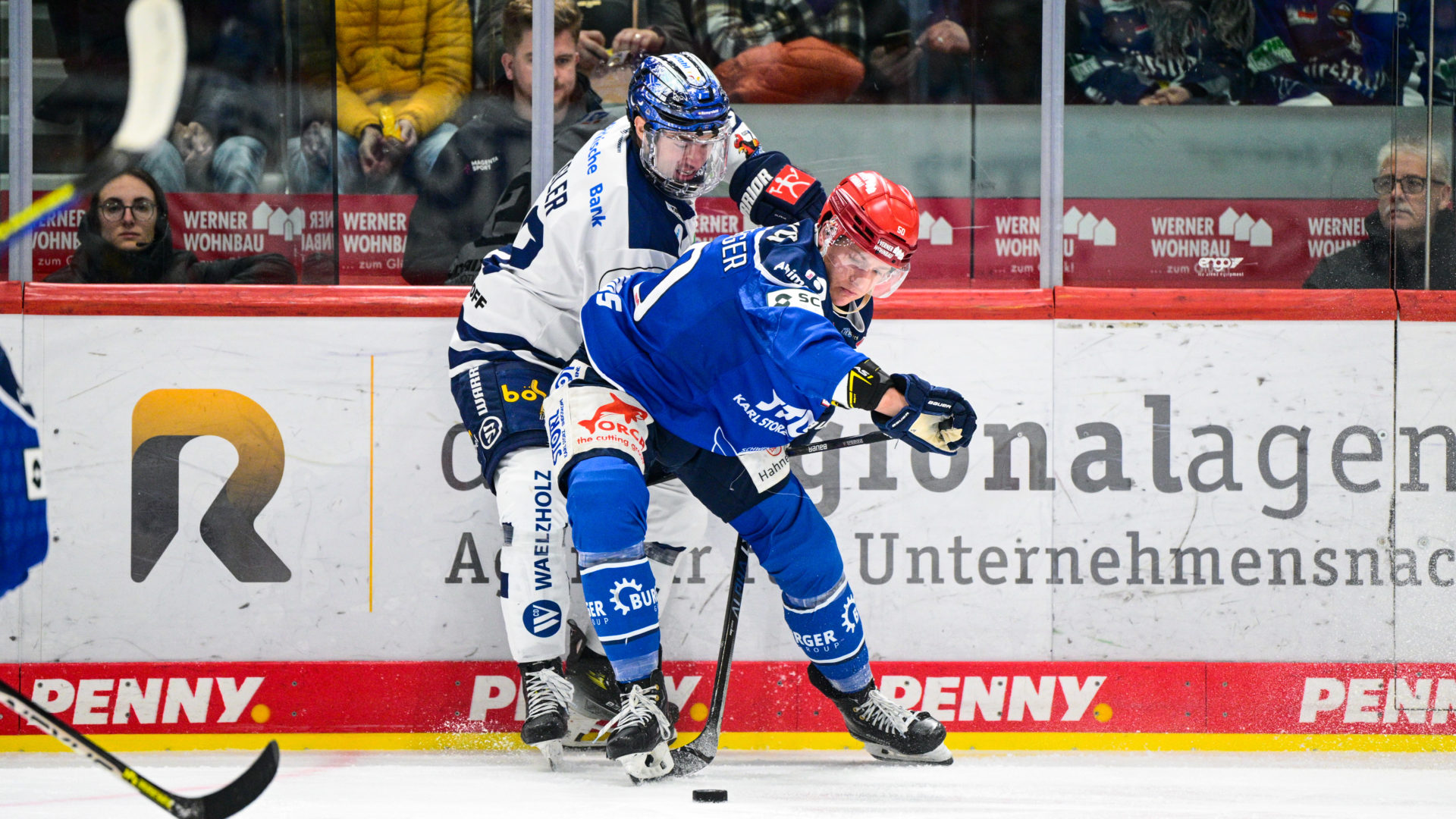 Spieltag 32 Roosters Schwenningen Iserlohn Roosters