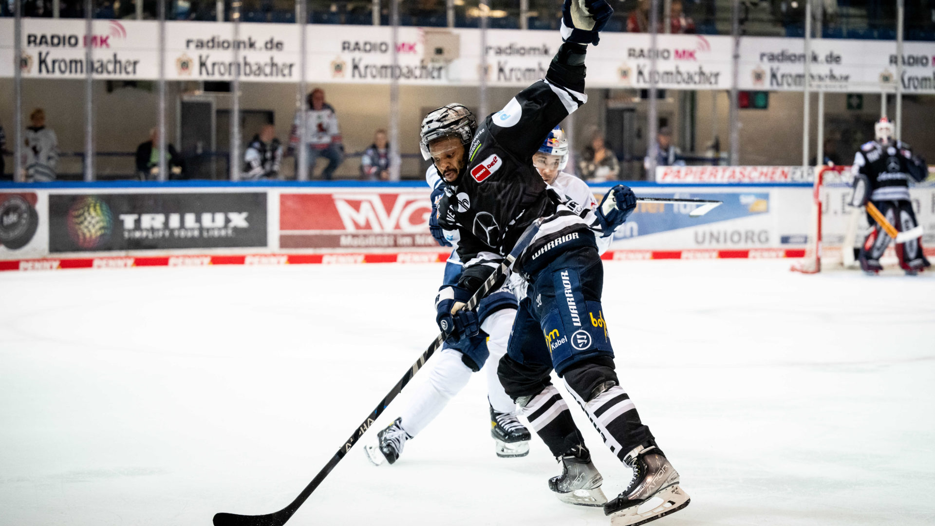 News | Iserlohn Roosters