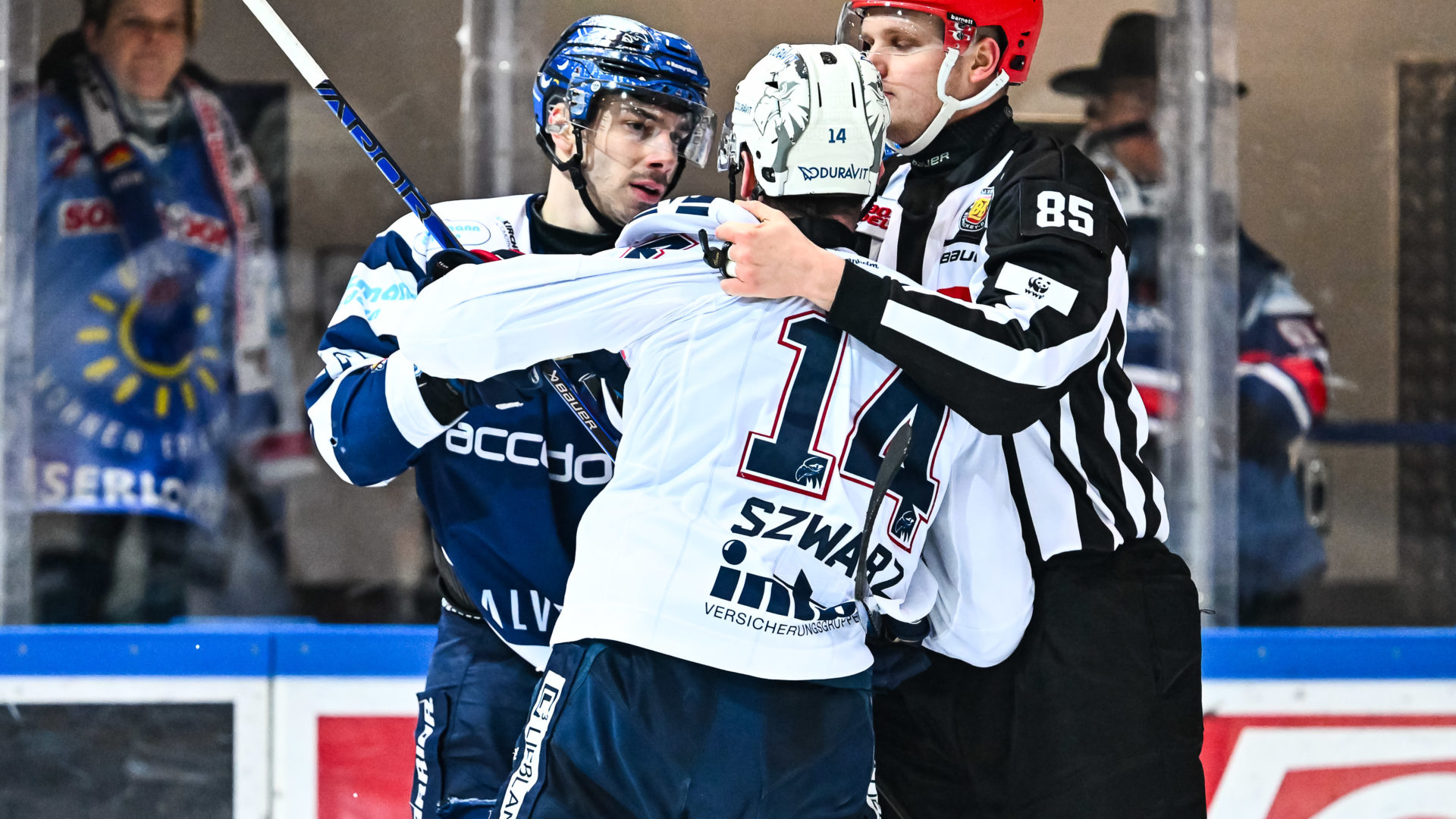 Spieltag 41: Roosters Vs. Mannheim | Iserlohn Roosters