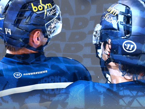 Grafik: Iserlohn Roosters