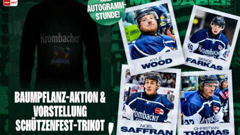 Grafik: Iserlohn Roosters