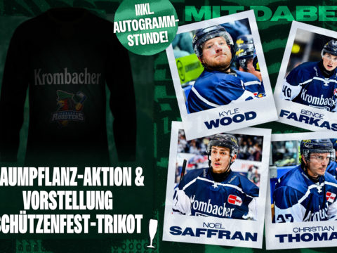 Grafik: Iserlohn Roosters