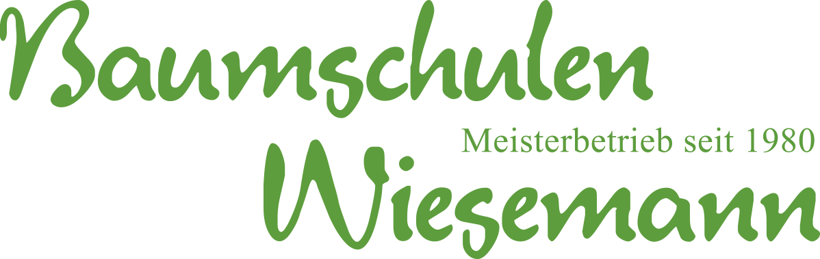 Gartengestaltung Wieseman - Antonius Wiesemann