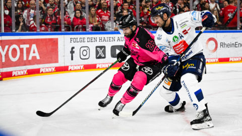 PENNY DEL Photo-Sharing