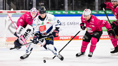 PENNY DEL Photo-Sharing