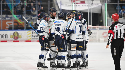 PENNY DEL Photo-Sharing