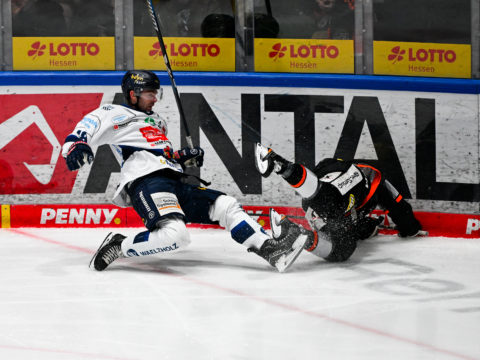 PENNY DEL Photo-Sharing