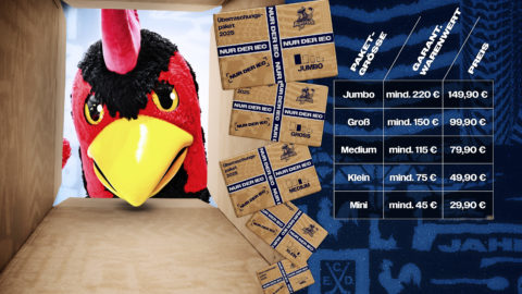 Grafik: Iserlohn Roosters