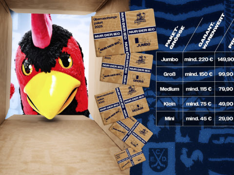 Grafik: Iserlohn Roosters