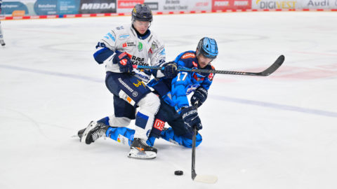 PENNY DEL Photo-Sharing