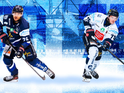 Grafik: Iserlohn Roosters