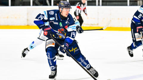 Jonas Brockmann / Iserlohn Roosters