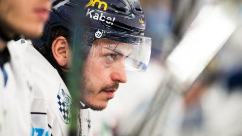 Foto von City-Press GmbH Bildagentur