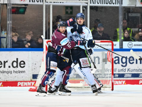 PENNY DEL Photo-Sharing