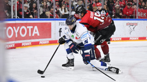 PENNY DEL Photo-Sharing