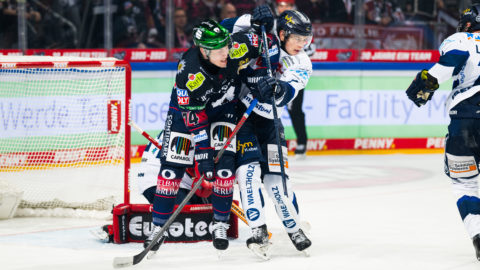 Foto von Marco Leipold / City-Press GmbH Bildagentur