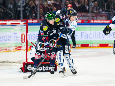 Foto von Marco Leipold / City-Press GmbH Bildagentur