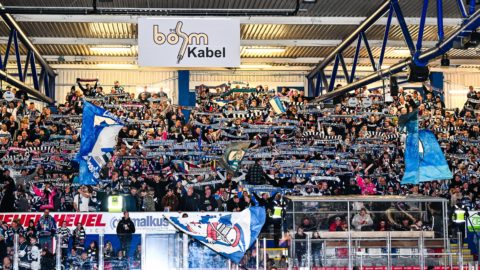 Jonas Brockmann, Iserlohn Roosters