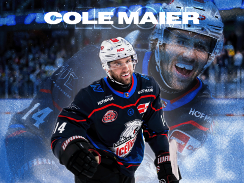 Grafik: Iserlohn Roosters