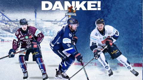 Grafik: Iserlohn Roosters