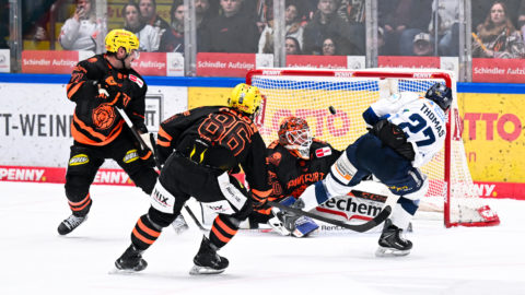 PENNY DEL Photo-Sharing