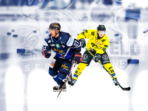 Grafik: Iserlohn Roosters