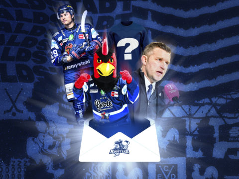 Grafik: Iserlohn Roosters